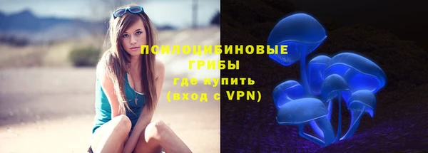 apvp Балахна