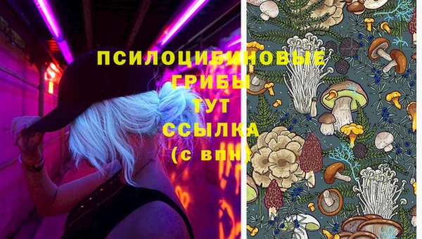 марки nbome Аркадак