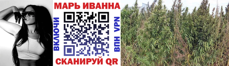 Конопля OG Kush  Пролетарск 